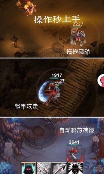 五彩鹦鹉救援