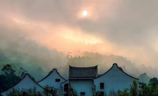 开车使用手机,浦江这些车主被拍了…