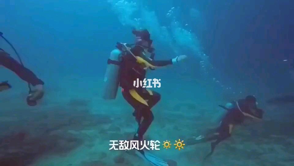 大猩猩库巴
