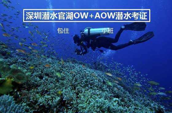除鬼师