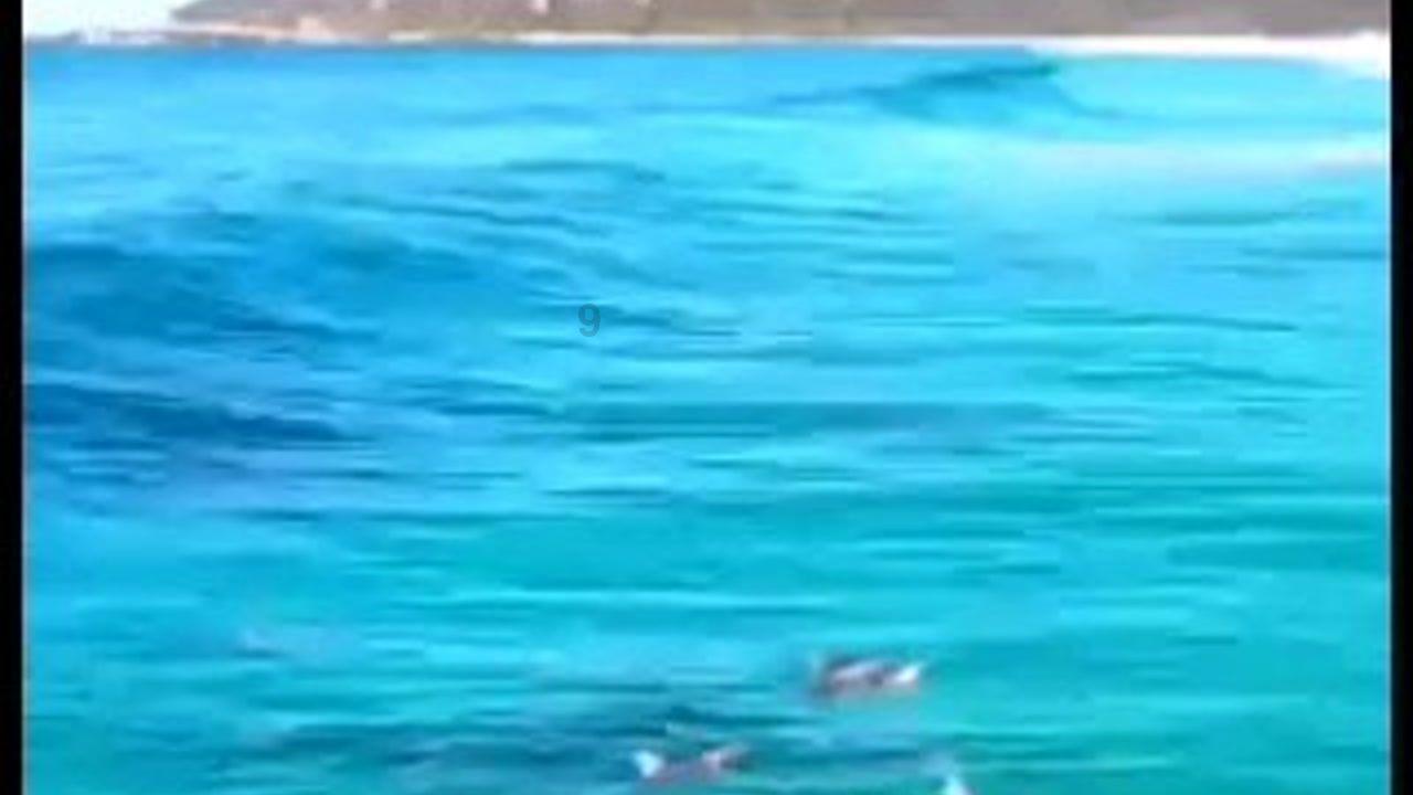 进击的飞机