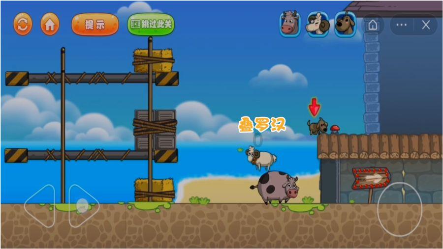 金刚鹦鹉逃生