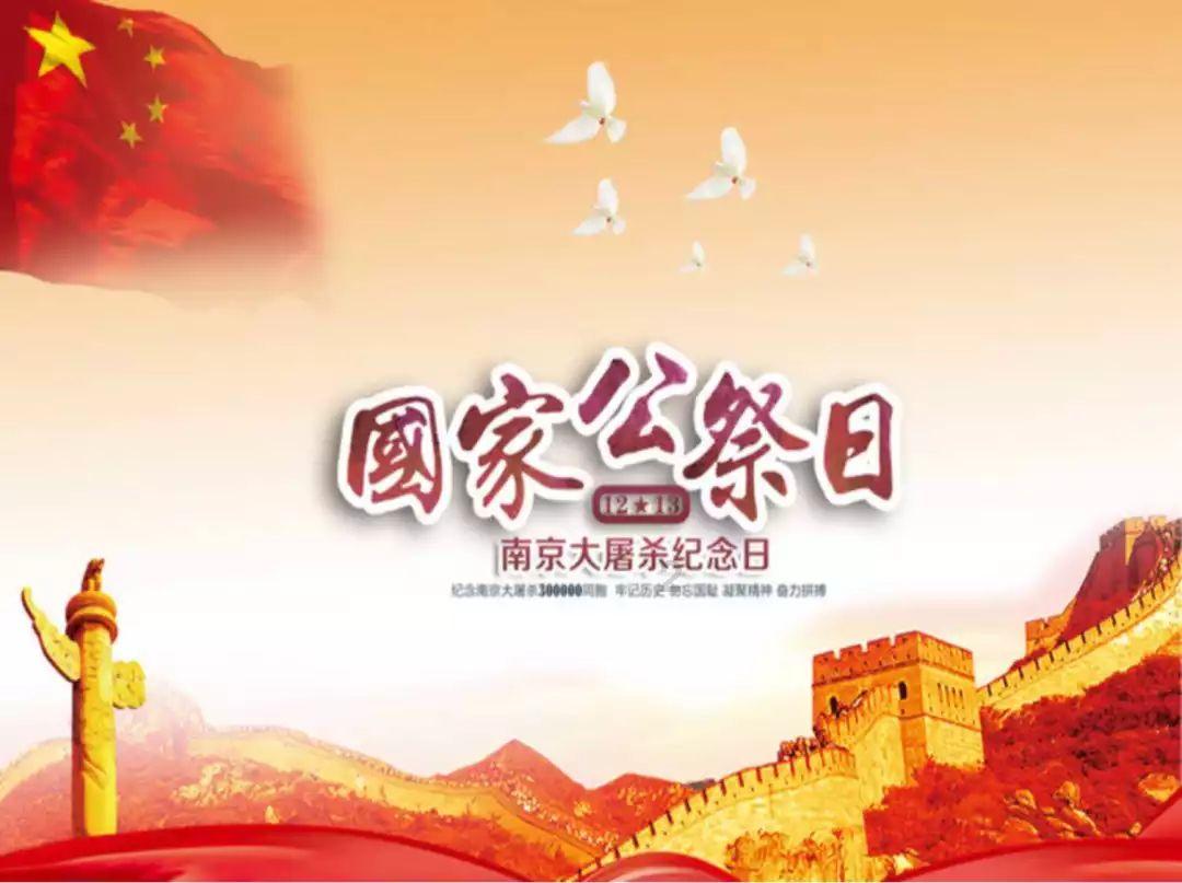 20厘米玄凤鹦鹉多大？
