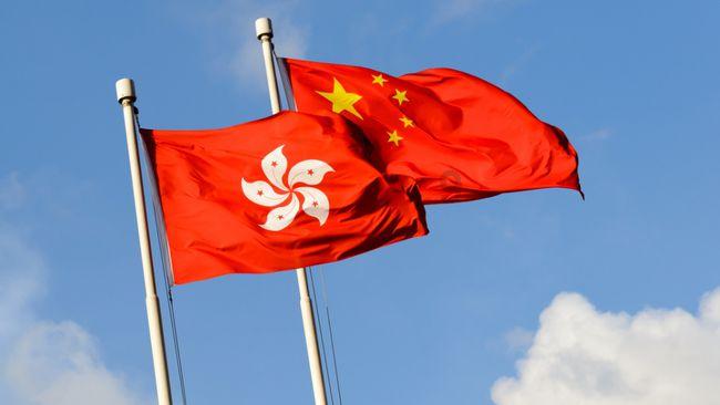 敏捷的白球