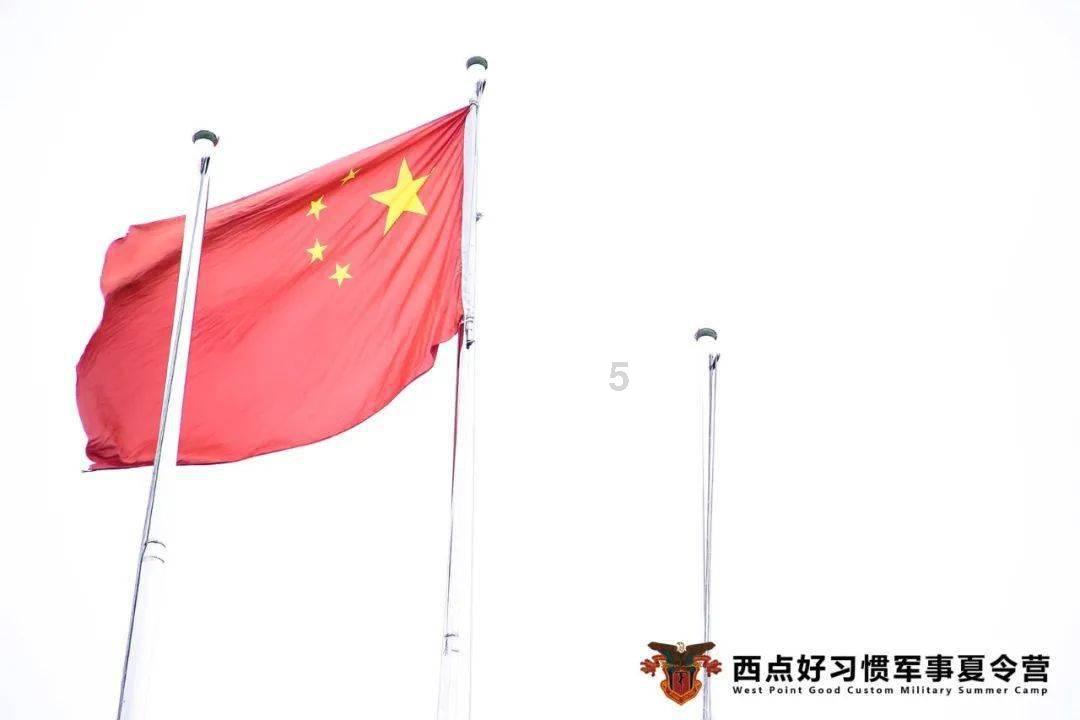 向上跳的香蕉