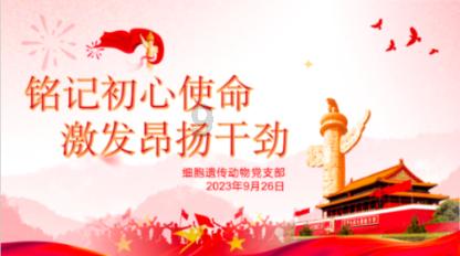 孩子不喜欢吃饭的原因有哪些？游戏画面