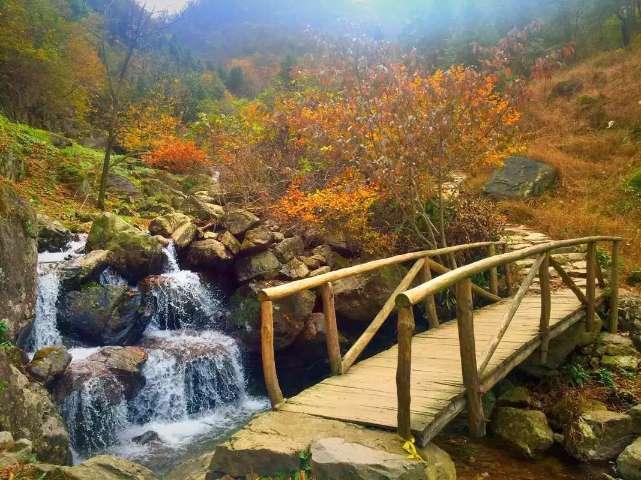 灵魂筹码