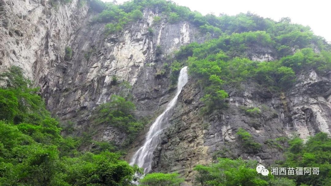 两会好声音丨四个方面持续优化营商环境 让企业和老百姓得到更多实惠