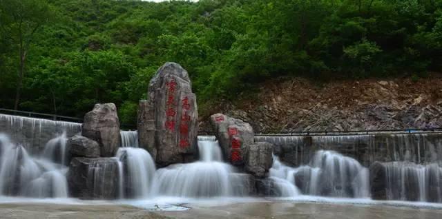 植物大战僵尸4