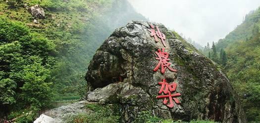 过敏性紫癜诊疗指南|中西医结合治疗策略