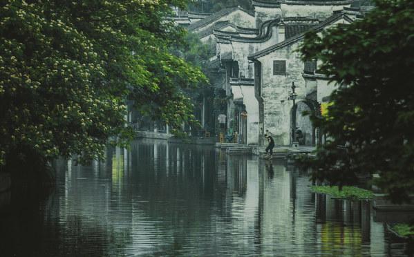 为什么煮鱼的时候不直接煮活鱼？游戏画面