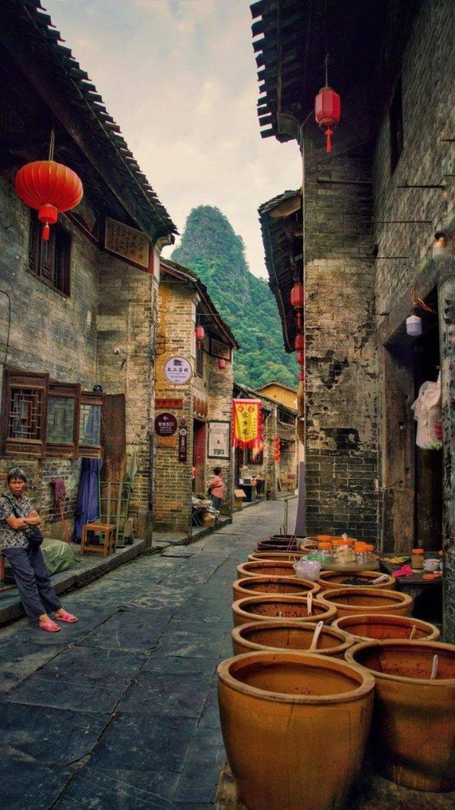 寻找萌宠松鼠