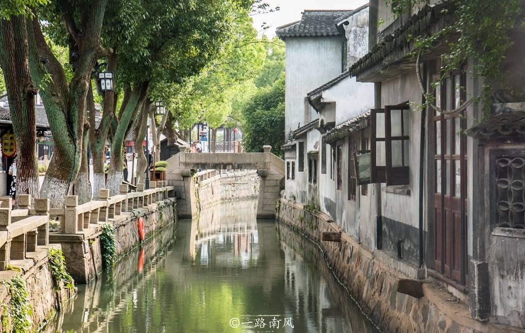 狐狸的旅程