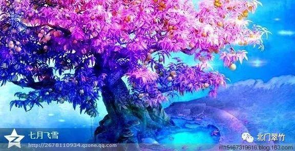 救援淘气的小狗